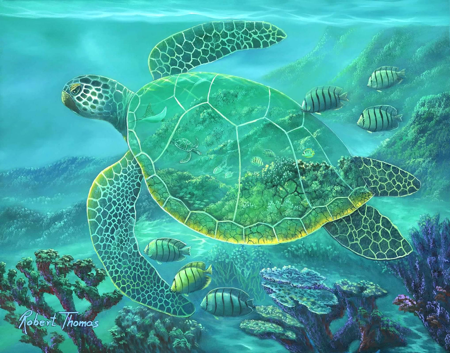 Glass Turtle