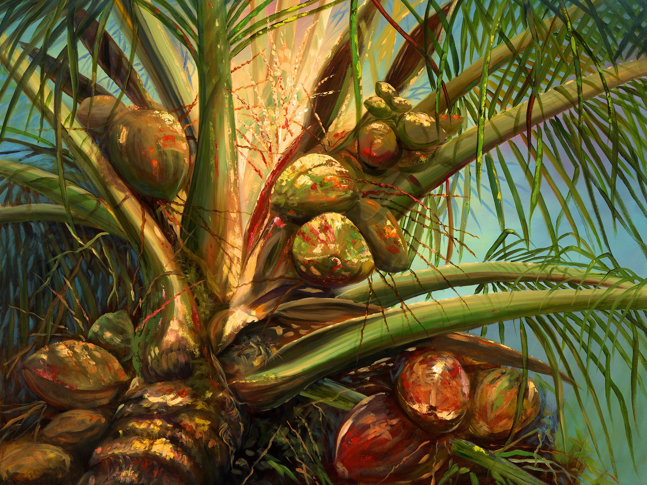 coconut palm print Coconut Palm – Robert Thomas Art Hawaii
