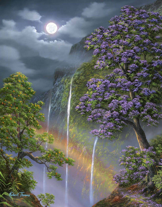 Jacaranda Falls at Night