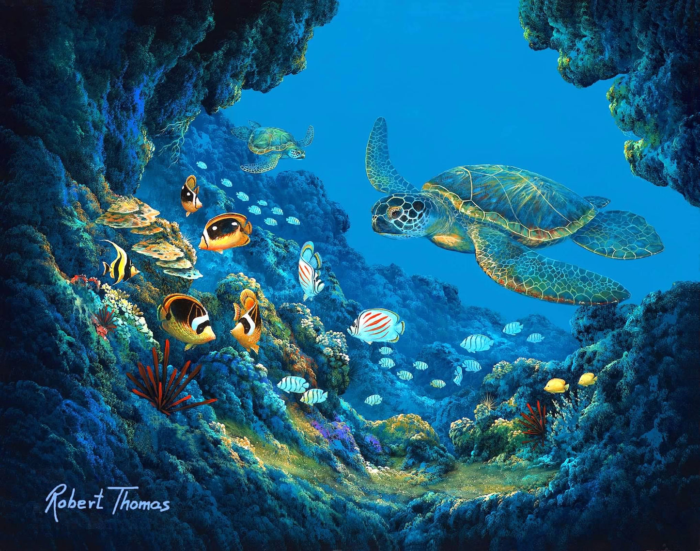 Turtle Cove