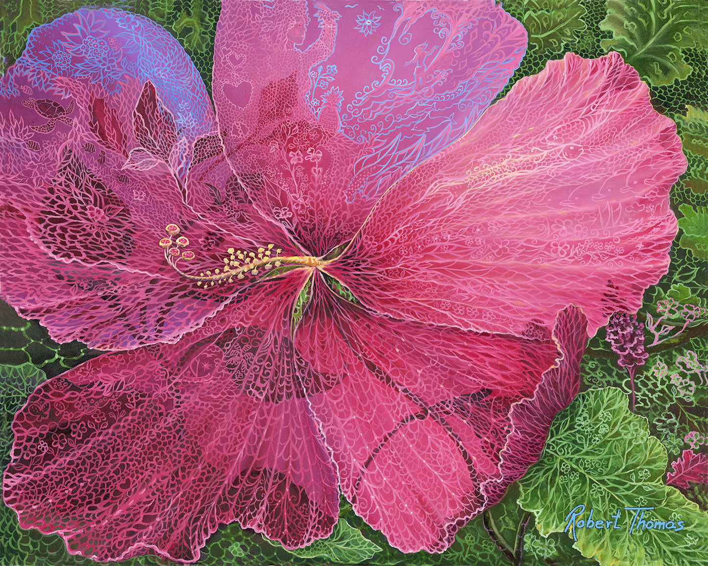 Hibiscus of Hawaii